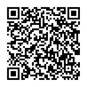 QR_075291 (1).png