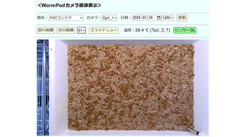 20260105wormpod03